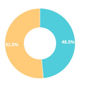 年末年始の過ごし方：地元に・・・
